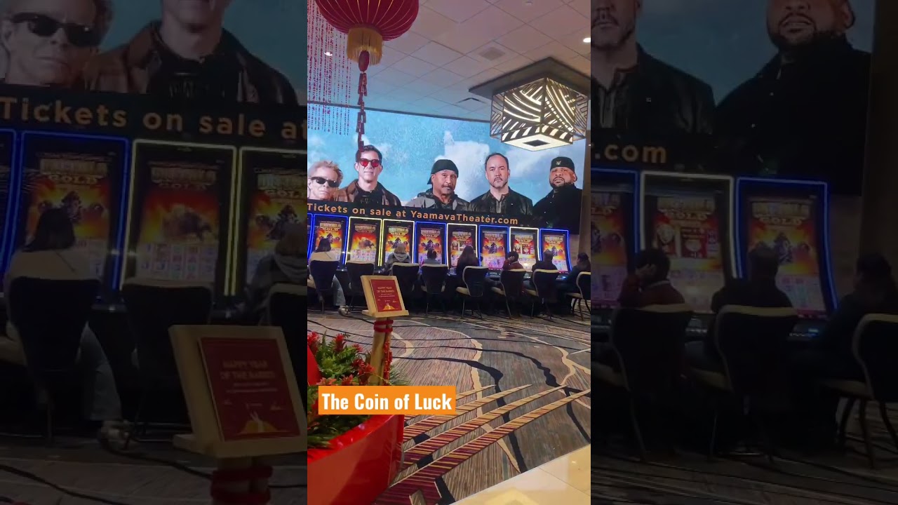 The Coin of Luck: The Casino That Changed My Life Forever