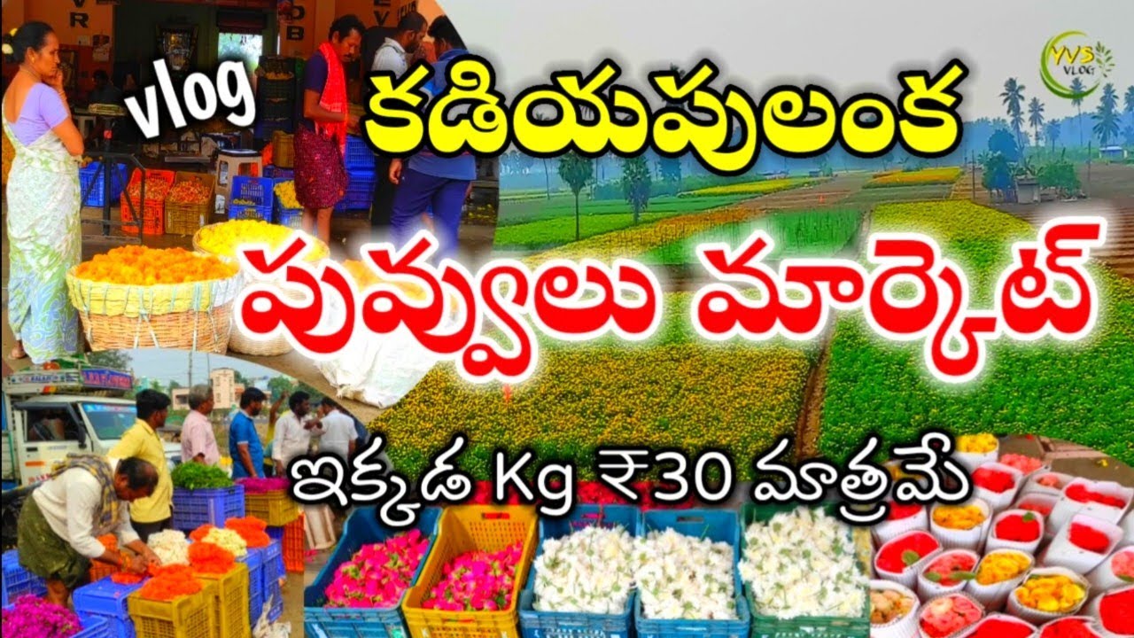 💐🌹కడియపులంక పువ్వుల మార్కెట్ // Kadiyapulanka  #Flower Market #yvsvlog #vlog #travel #4k #village