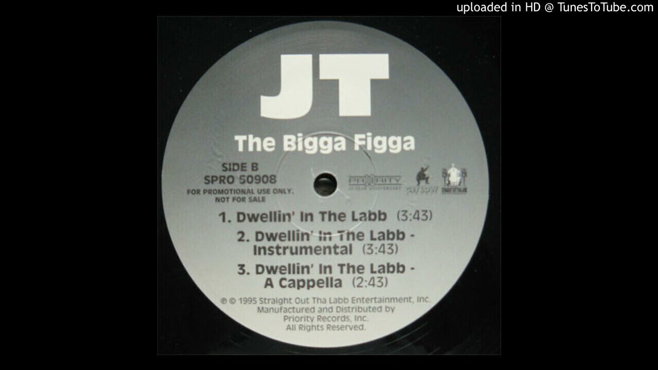 JT The Bigga Figga - Dwellin' In The Labb (Instrumental)
