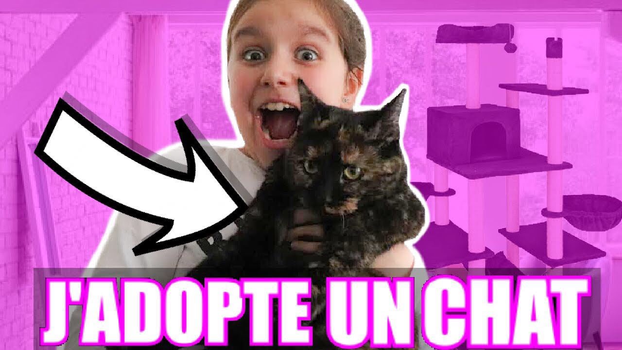 ON ADOPTE UN CHAT ! *il s'enfuie*