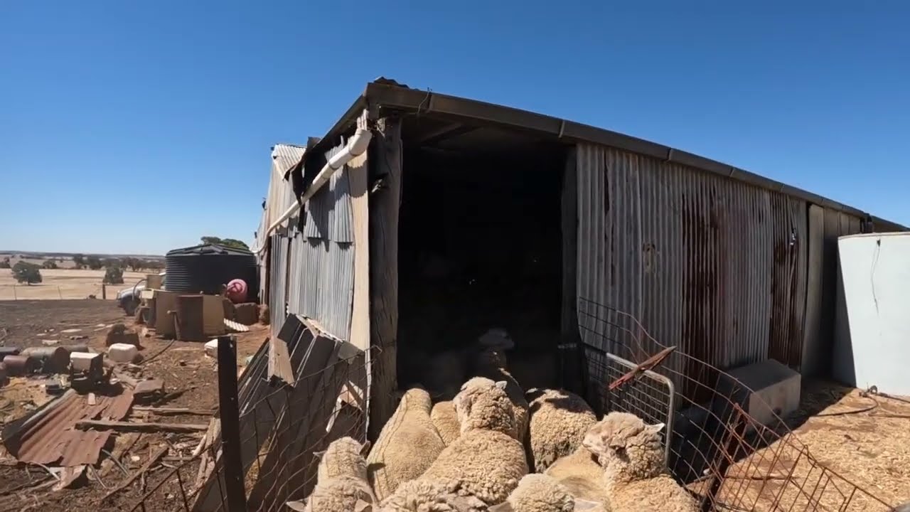 All the jobs on the farm for 1 weekend