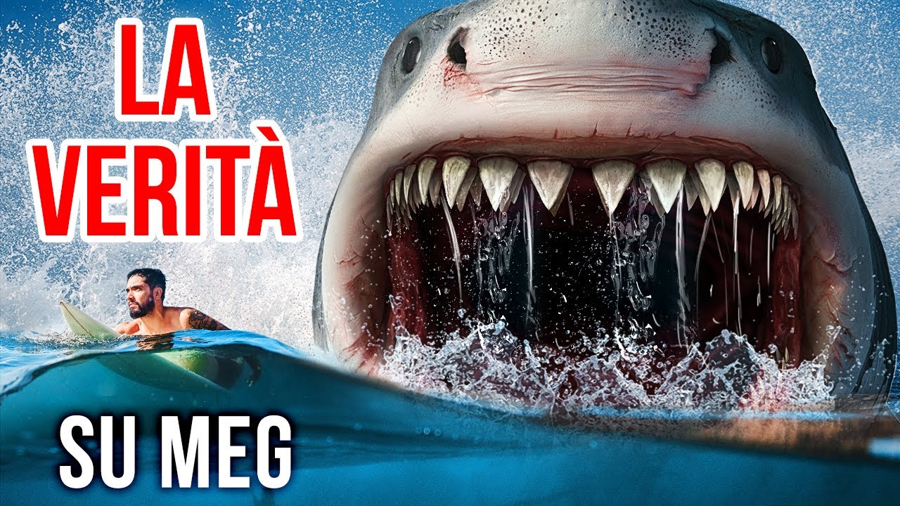 I fatti sugli squali vi faranno pensare due volte a nuotare nell'oceano