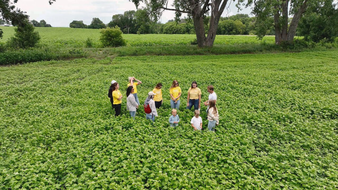 Adapting to Extreme Rains and Drought at A-Frame Farm in Madison, Minnesota