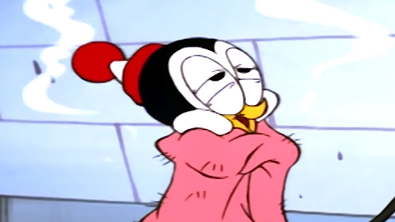 Picolino em Português 🐧Cobertor Elétrico 🐧Episodio Completo de Picolino | Desenhos Animados