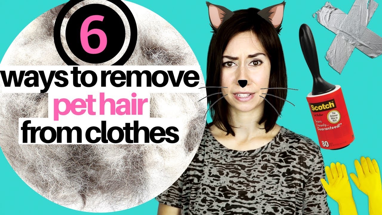 6 WAYS TO REMOVE PET HAIR FROM CLOTHING