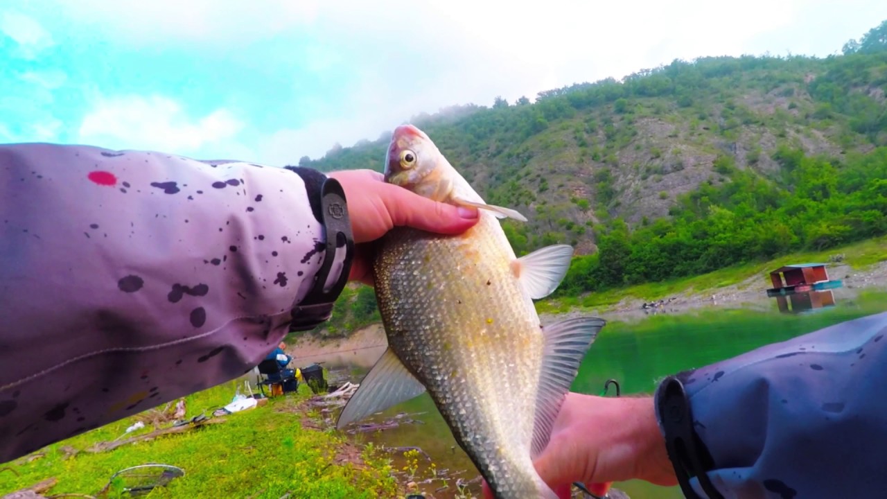 Feeder na Zavojskom jezeru. GoPro HD Fishing - VIDEO 2