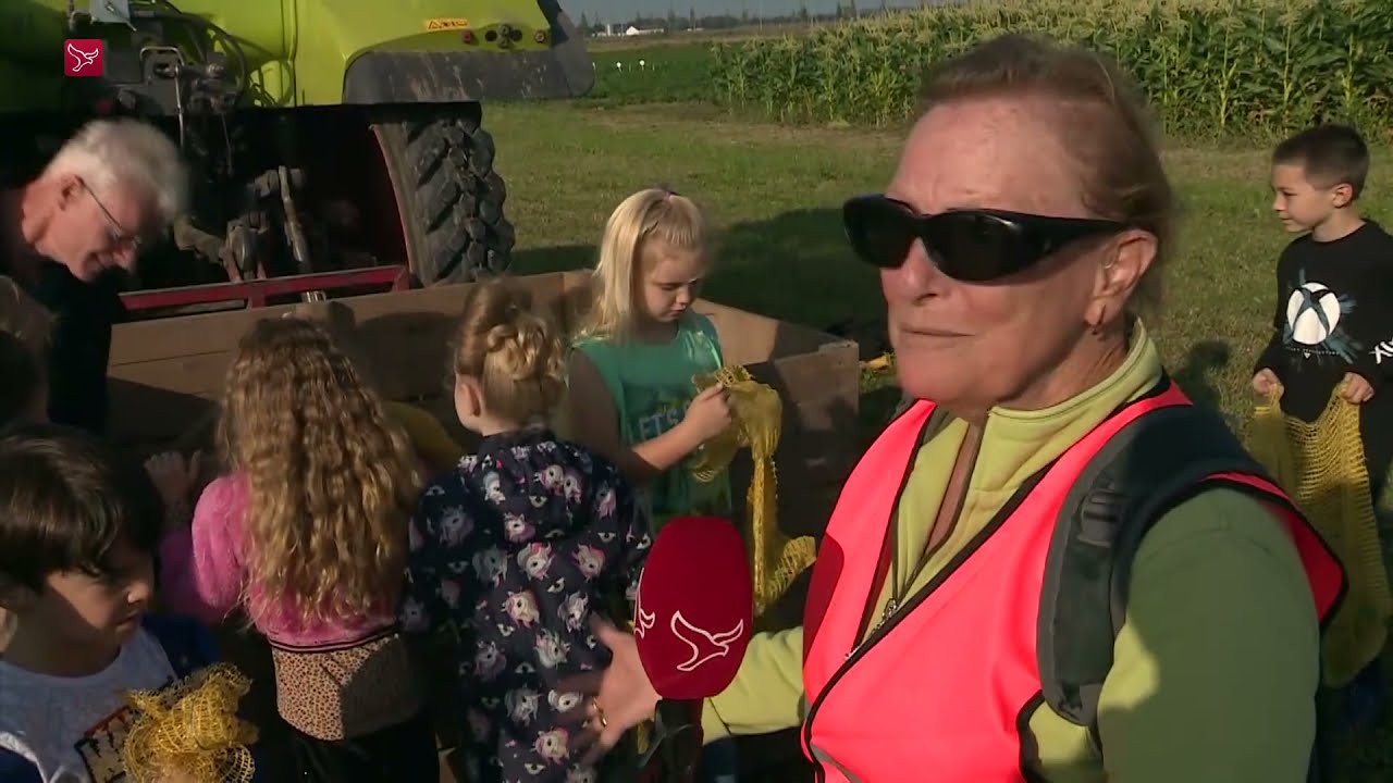 Kinderen oogsten zelf groenten voor meer bewustwording eten in Lelystad
