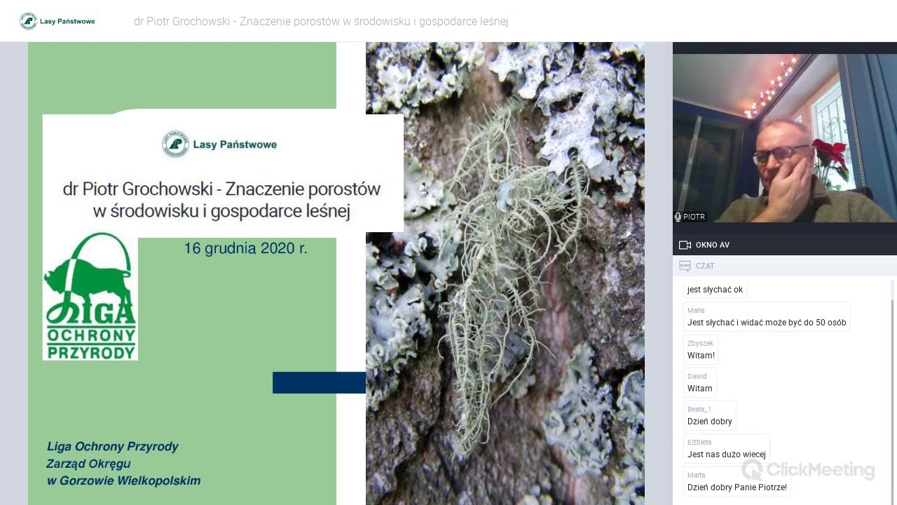 Znaczenie porostów w środowisku i gospodarce leśnej - dr Piotr Grochowski