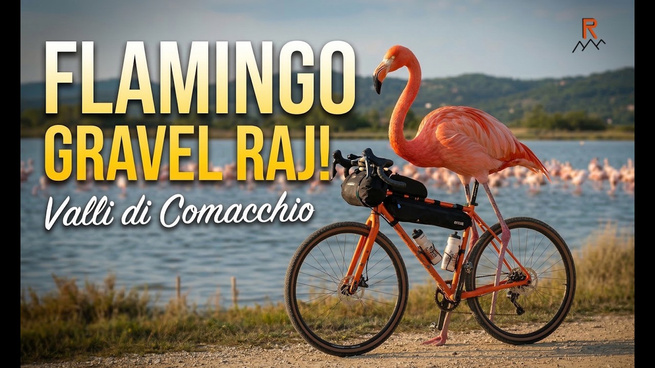Flamingo Gravel Raj! - Szutry Valli di Comacchio [07.2025]