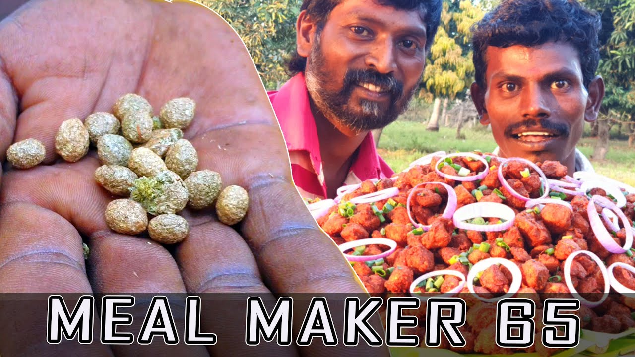 மொசப் புழுக்கையில், மூணு முழம் கயிறு திரிப்பது எப்படி  | MEAL MAKER 65