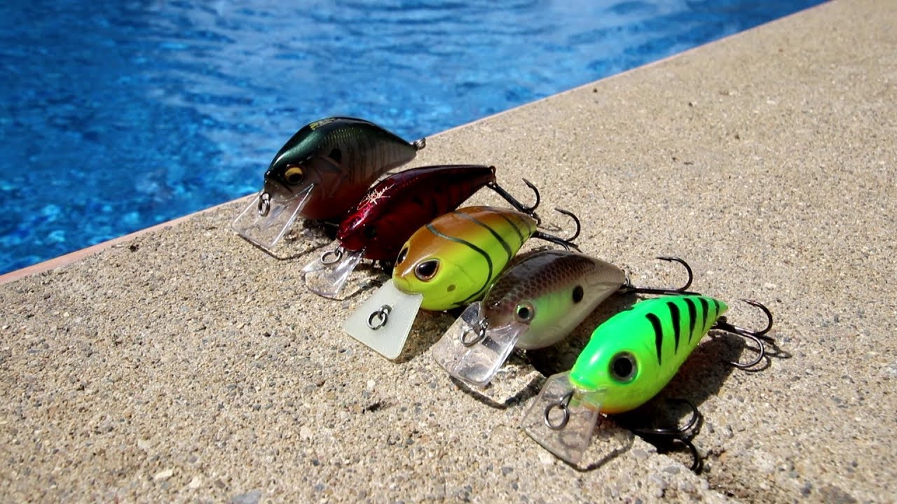 Top 5 Squarebill Crankbaits