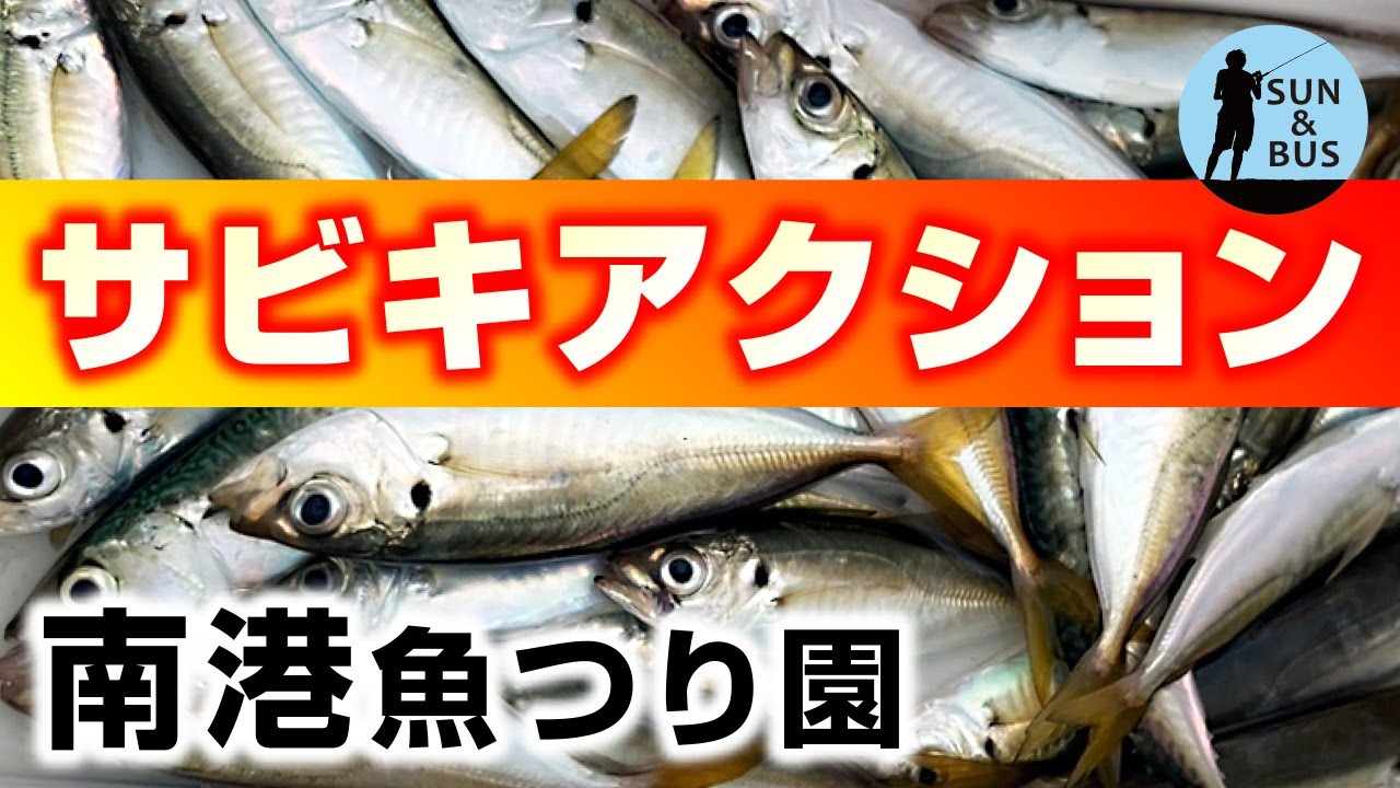 【大阪湾奥サビキ釣り】釣果伸ばすアクション〜アジ育ってきた！（南港魚つり園）