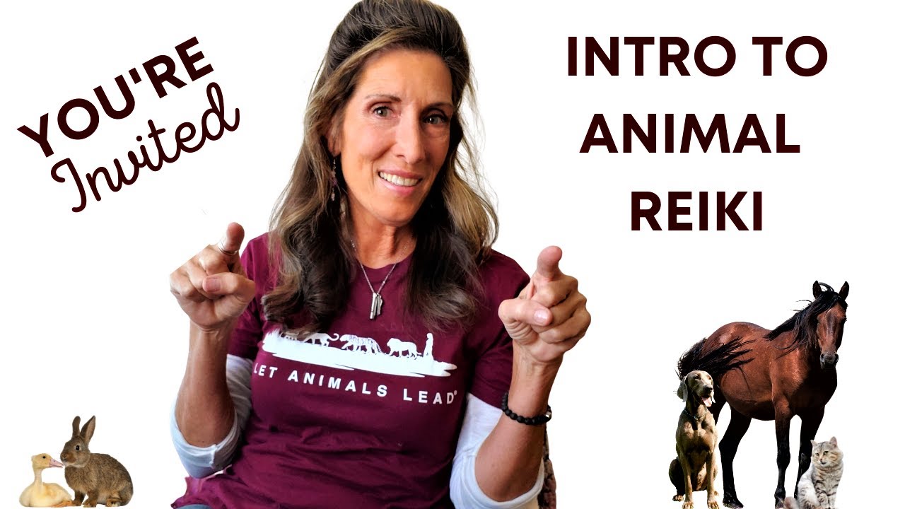Intro to Animal Reiki