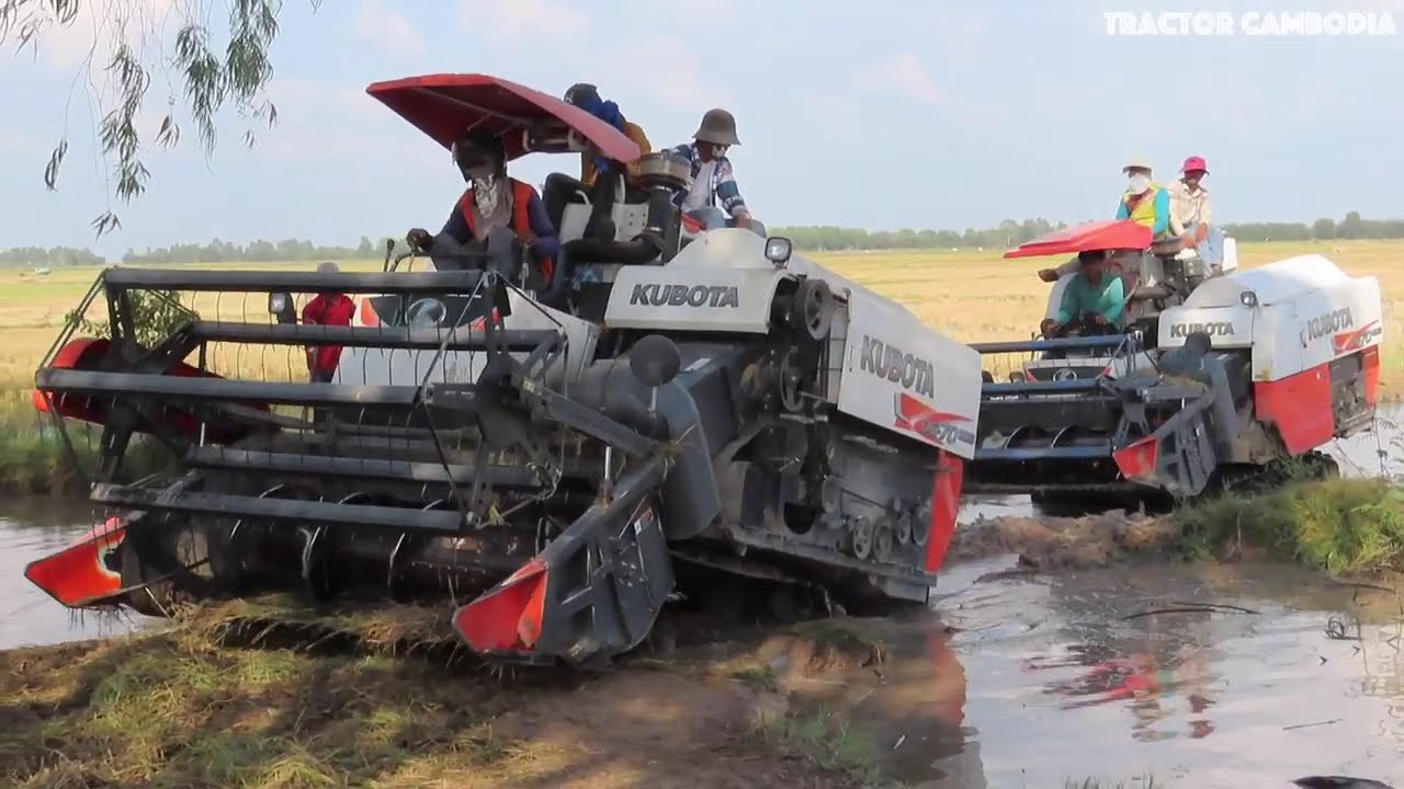 Incredible Safety Harvester Driving Skills | Harvester Working & Harvest Machine ម៉ាស៊ីនច្រូតស្រូវ