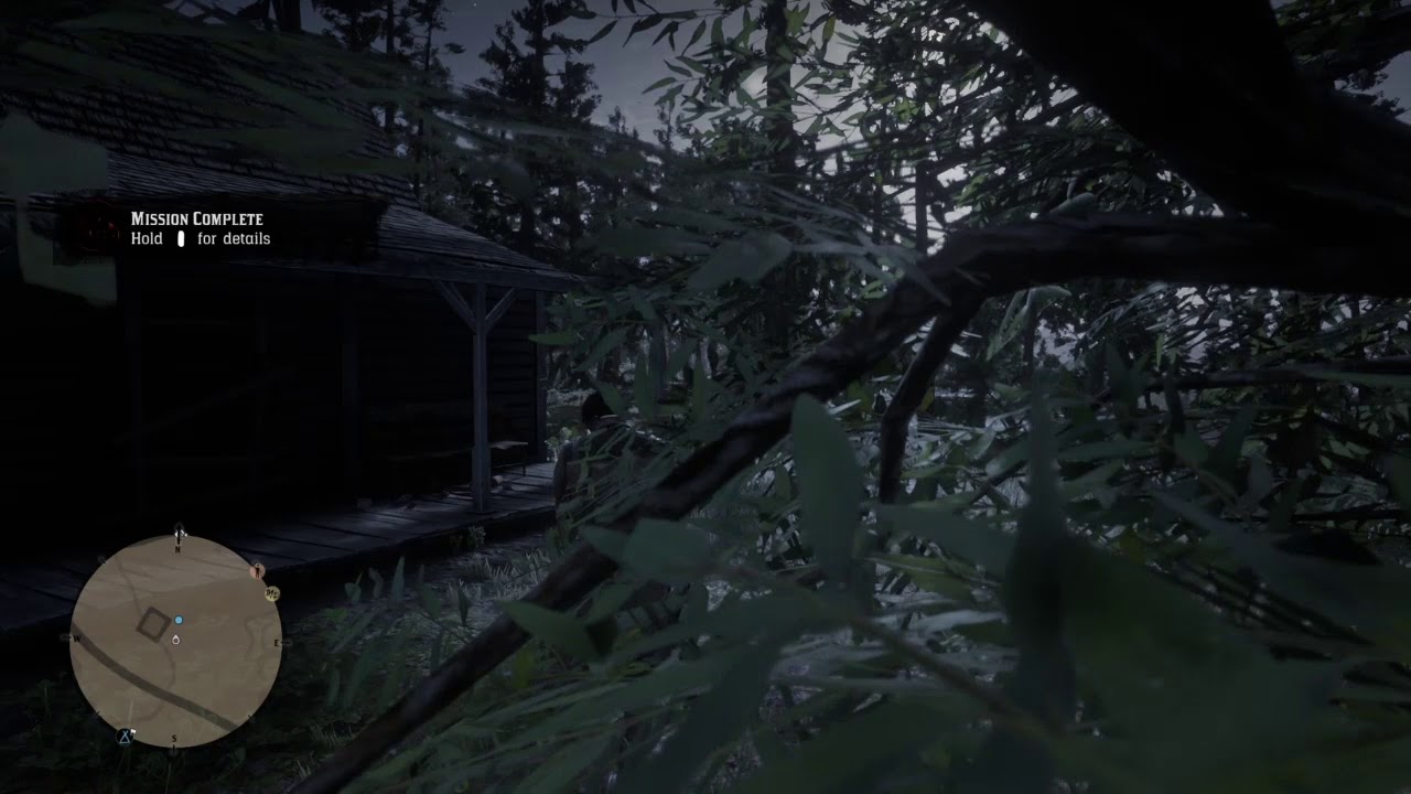 Bear Mauling