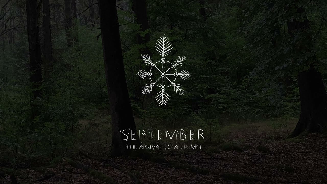 CELLO AMBIENT SOUNDSCAPE | ''SEPTEMBER'' | THE ARRIVAL OF AUTUMN | Jordan van der Maas