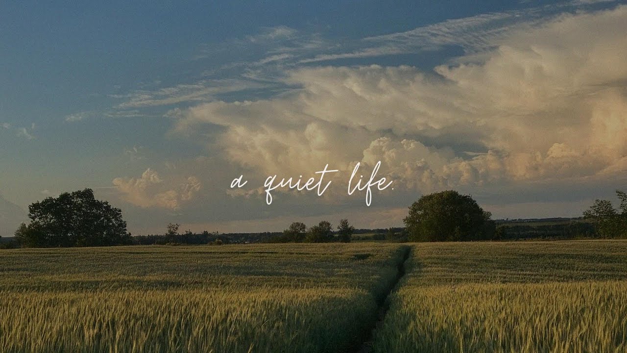 a comfort playlist for quiet people