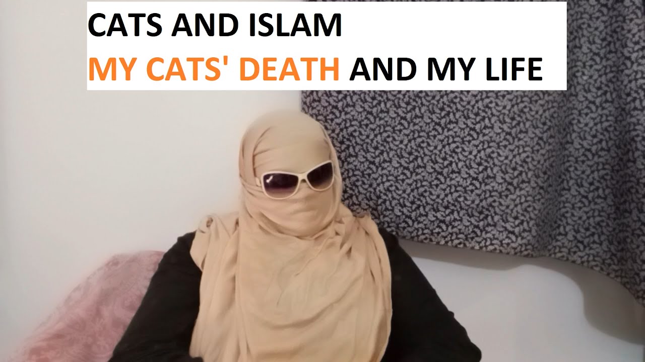 MY CATS DEATH I ISLAM AND CAT DEATH I MISSING MY CATS