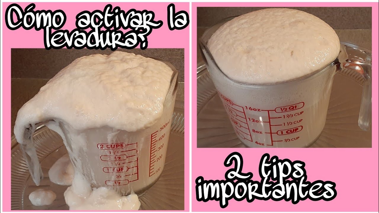 ¿Cómo activar la levadura seca? 2 tips muy importantes👌