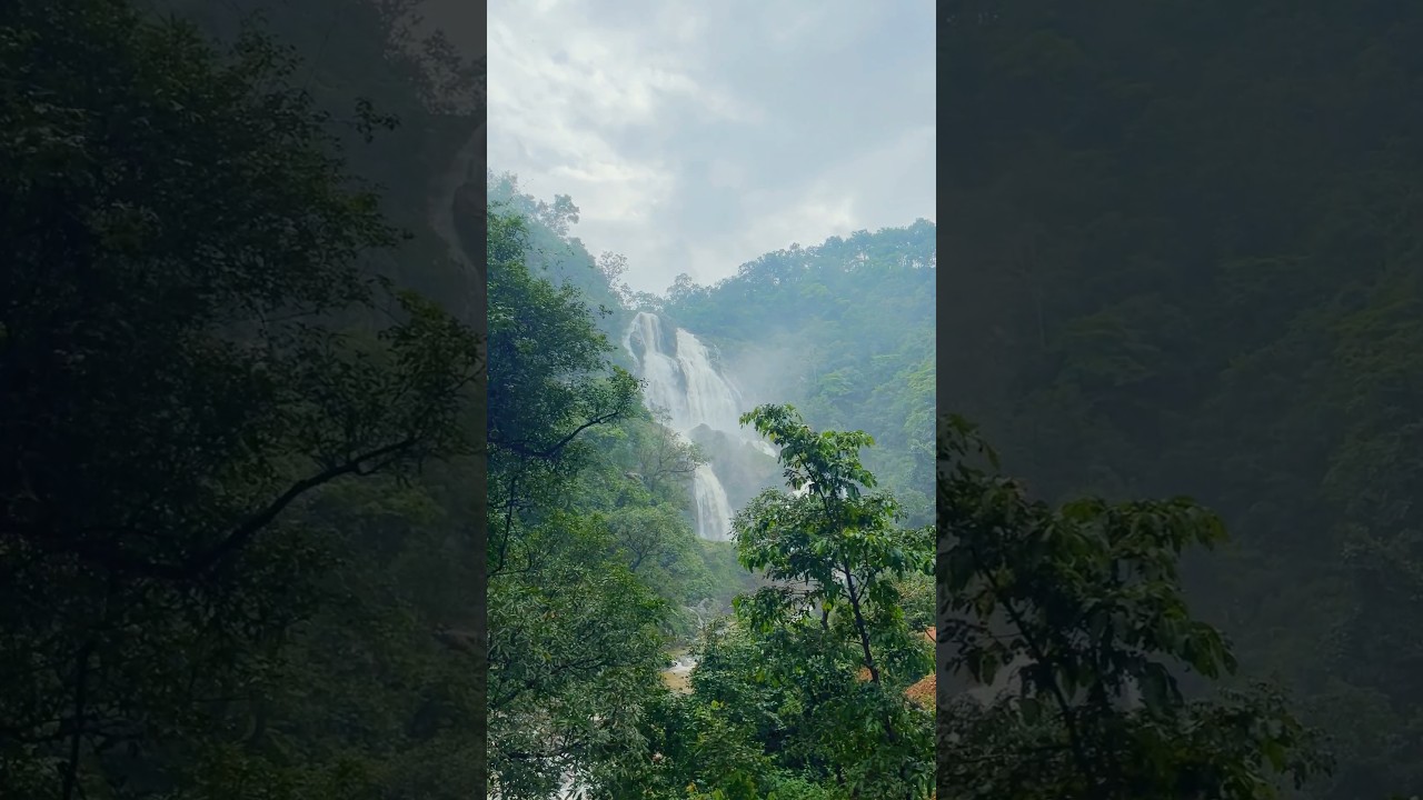 Dangari waterfall Jashpur Chhattisgarh || Chhattisgarh Tourism #chhattisgarh#tourism#dangari