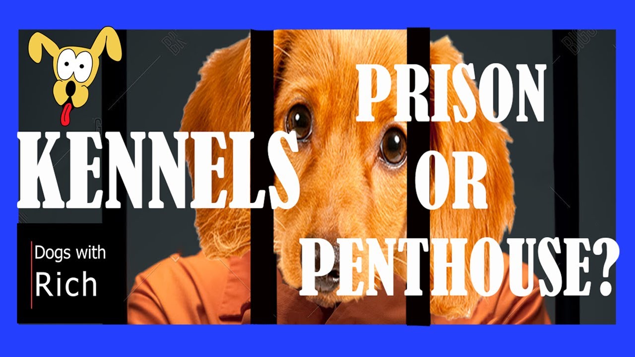 S1 - E7: Crate Training -  PUPPY PRISON or PENTHOUSE!?!?!?