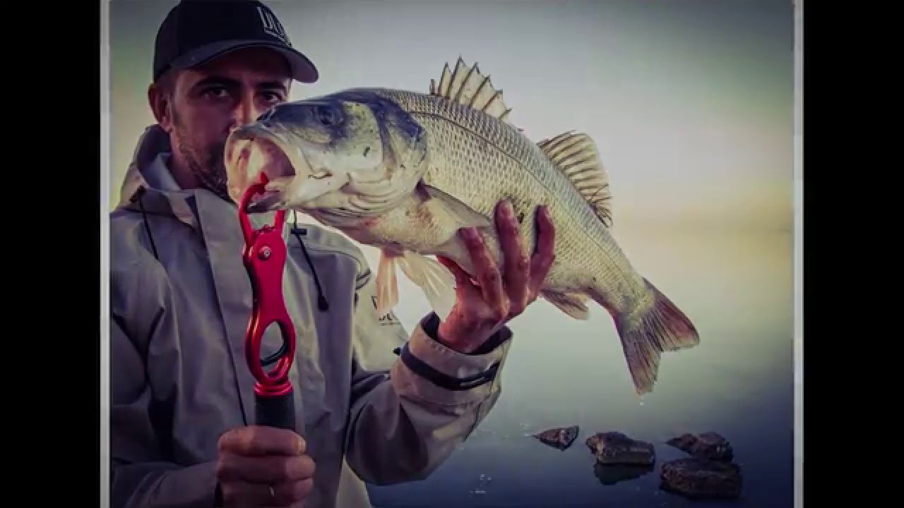 Duo Realis Pencil 110 Catching Seabass (Levrek Avı)