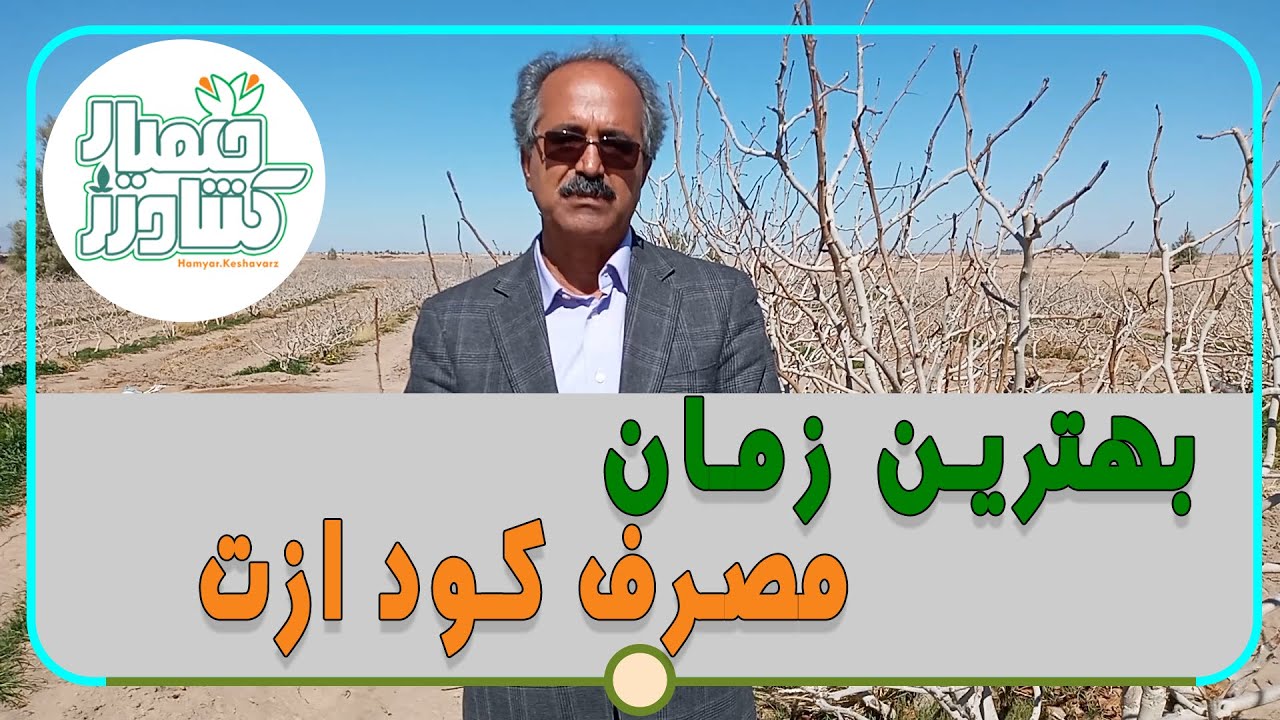 بهترین زمان مصرف کود ازت