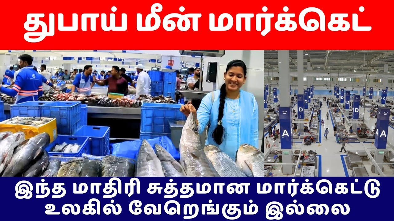 🏆 DUBAI FISH MARKET 🐟 TOUR 2025 (4K) | World’s Freshest Seafood + Bargain Hunting!