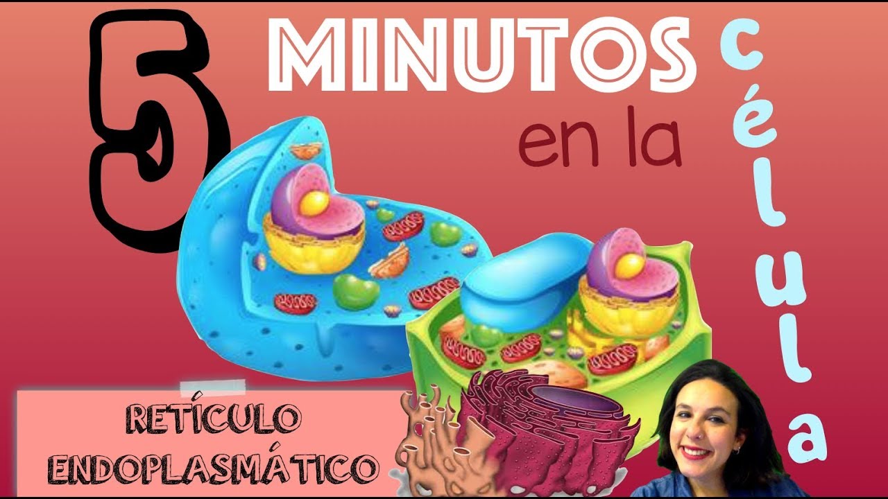 El Ret&iacute;culo Endoplasm&aacute;tico - 5 minutos en la c&eacute;lula. Bio[ESO]sfera