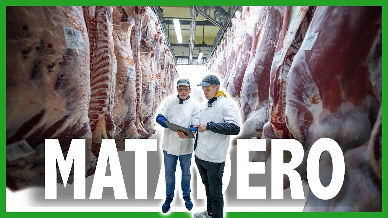 🔥CÓMO FUNCIONA un MAT4DERO Europeo (No EXPLÍCITO) | Carnicería Etxezarreta