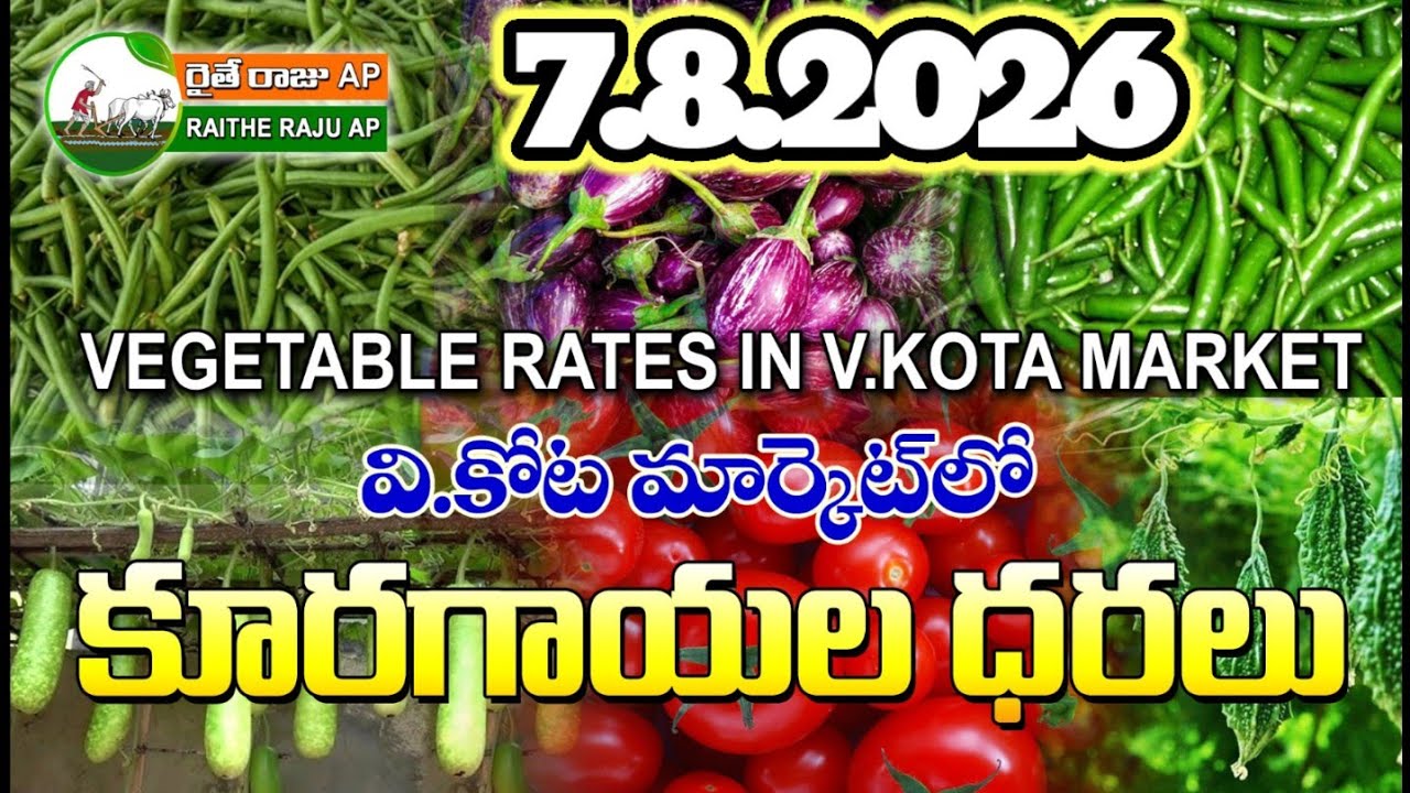#AMC V.KOTA TODAY BEANS PRICE IN MARKET #ALL VEGETABLE PRICES #marigold 