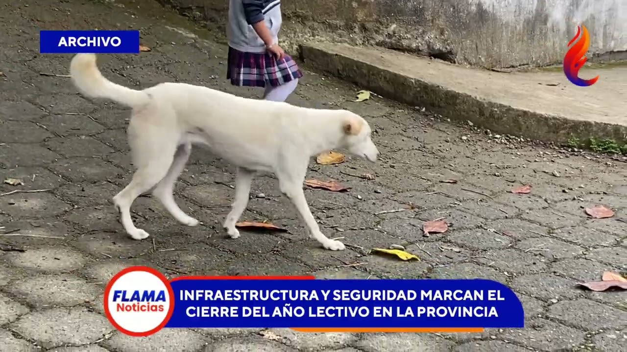Educación cierra el año lectivo entre denuncias y reporte de inversiones