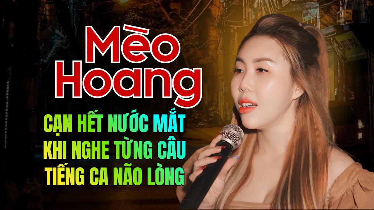 Liên Khúc MÈO HOANG - NGỌC ÁNH SÁNG | Nhạc Bolero Trữ Tình Hay Nhất Những Bài Hiếm Ít Ai Hát