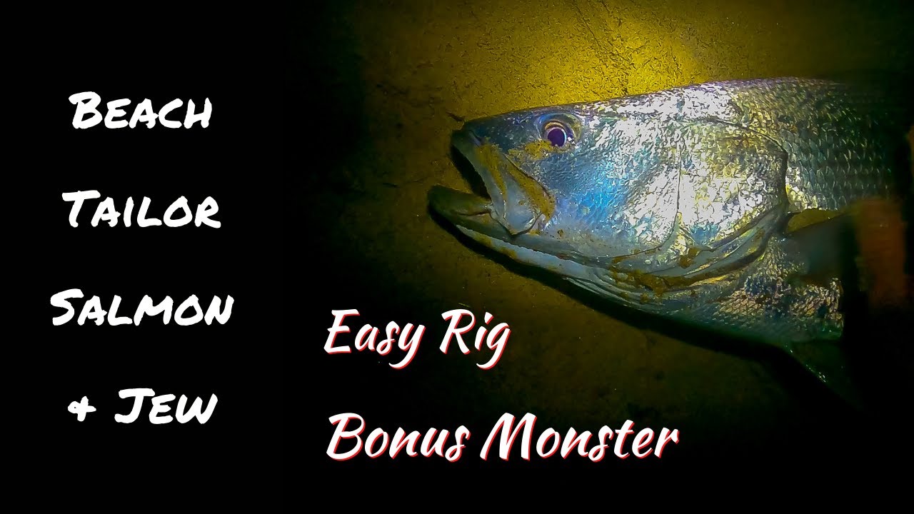 Beach Tailor, Salmon, & Jewfish | Favourite Rigs - Bonus Monster