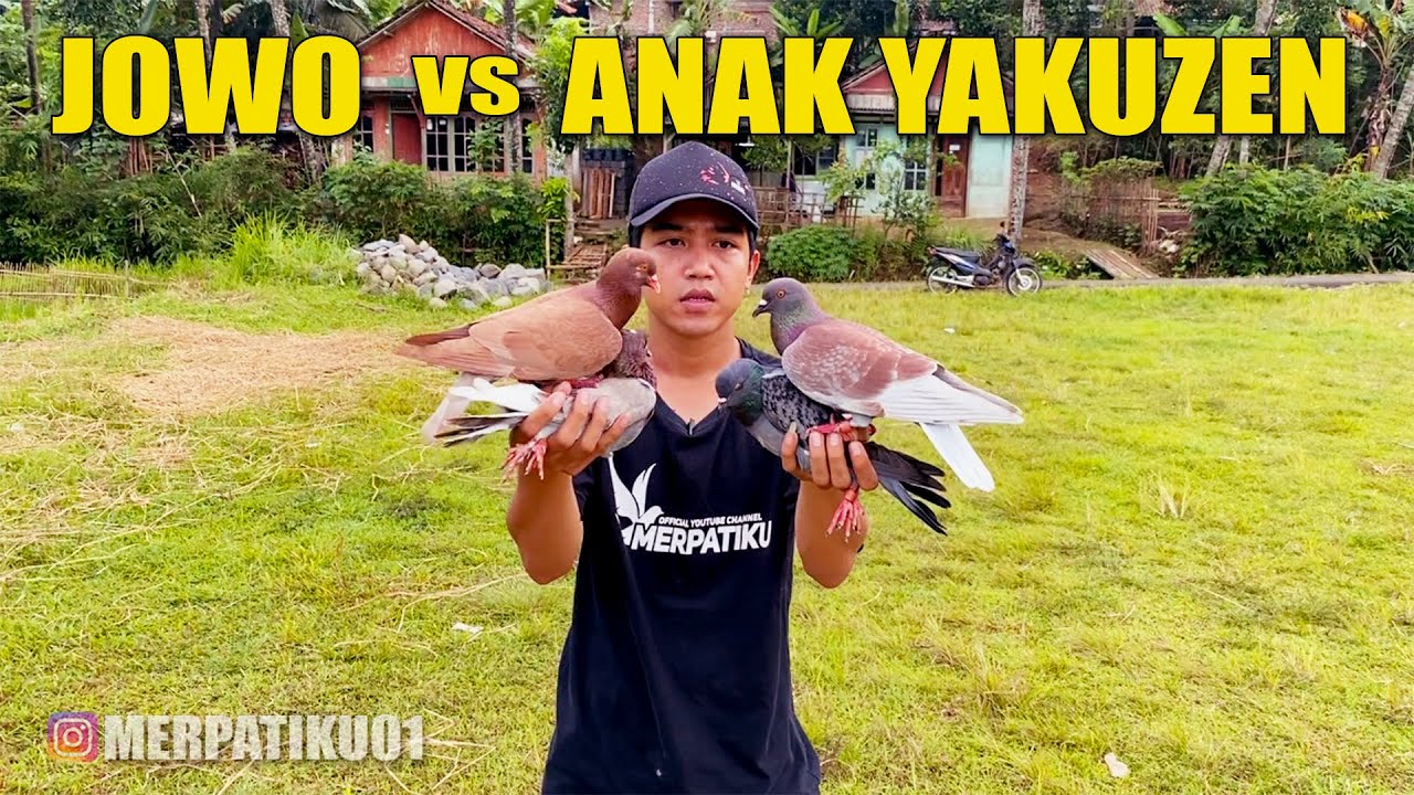 BALAP BURUNG MERPATI DISAWAH