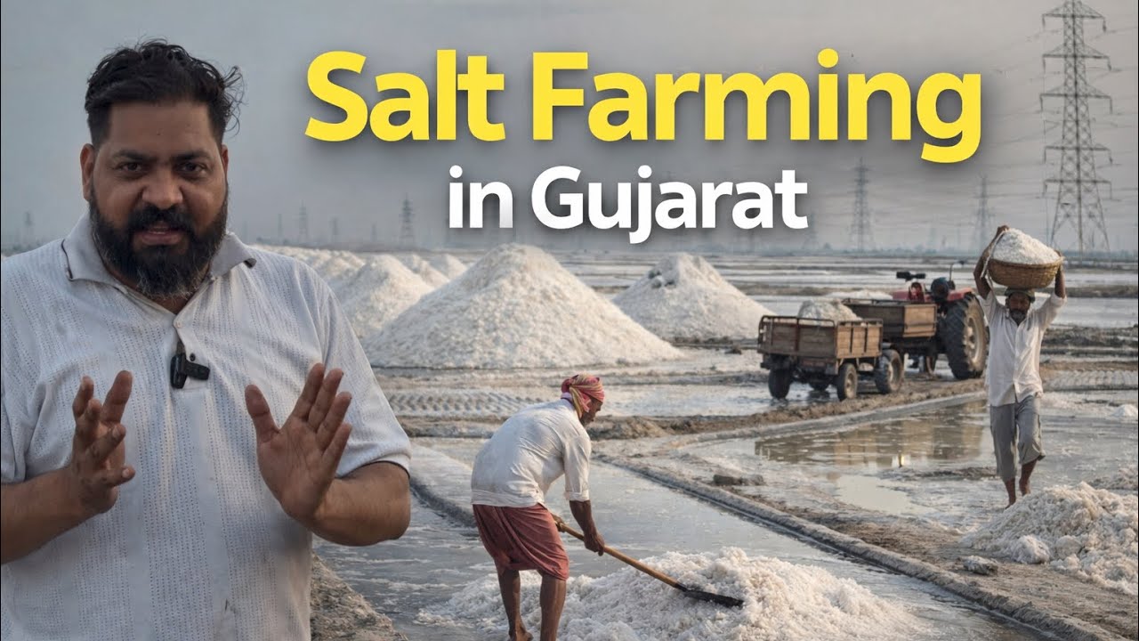 Salt farming in Gujarat ( full detail ) 