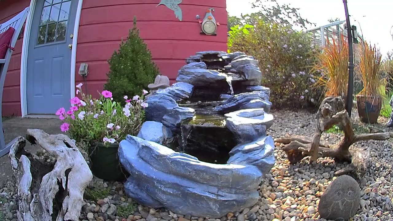 🐦 Wild Bird Feeder Live: See Who's Here Right Now!