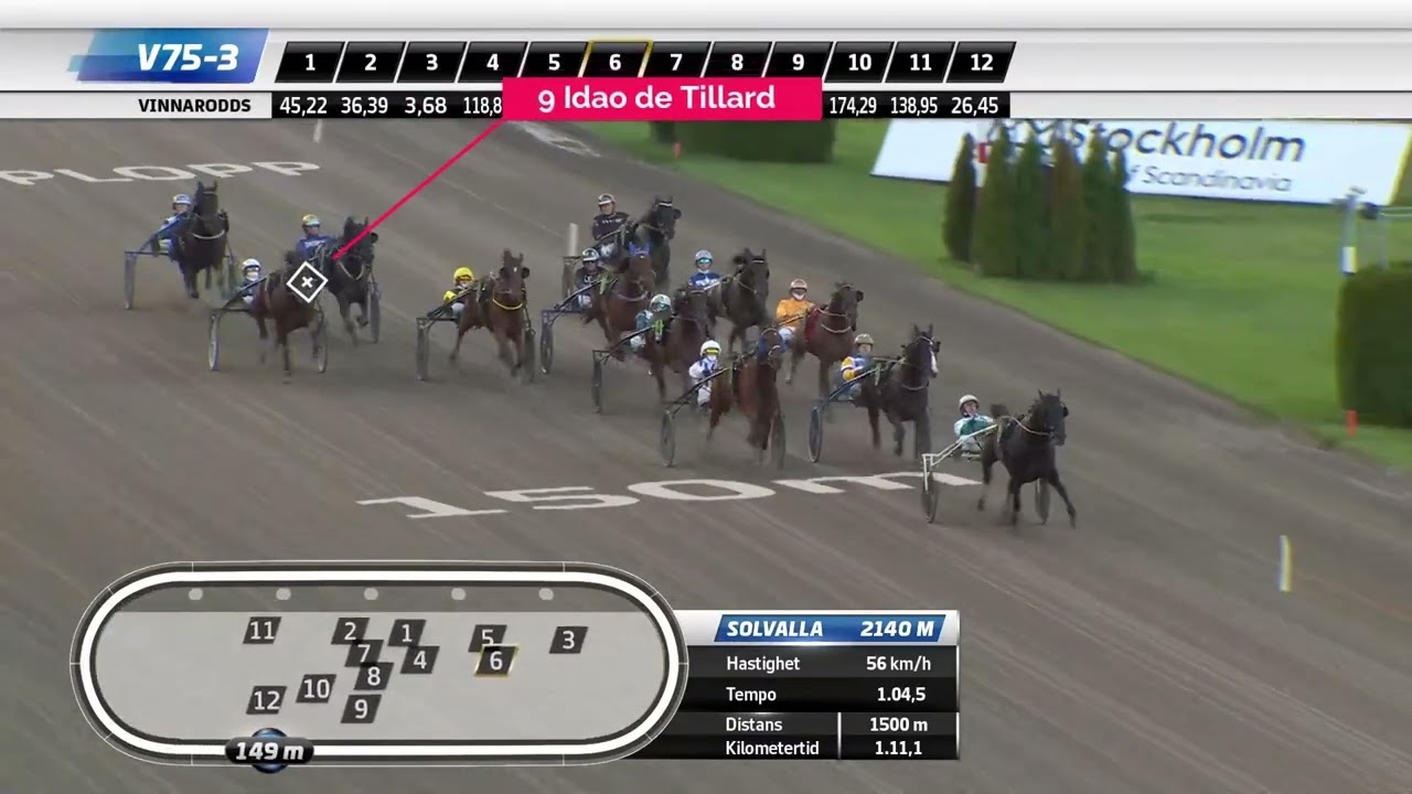 Idao de Tillard prepare at Solvalla 2025-10-11