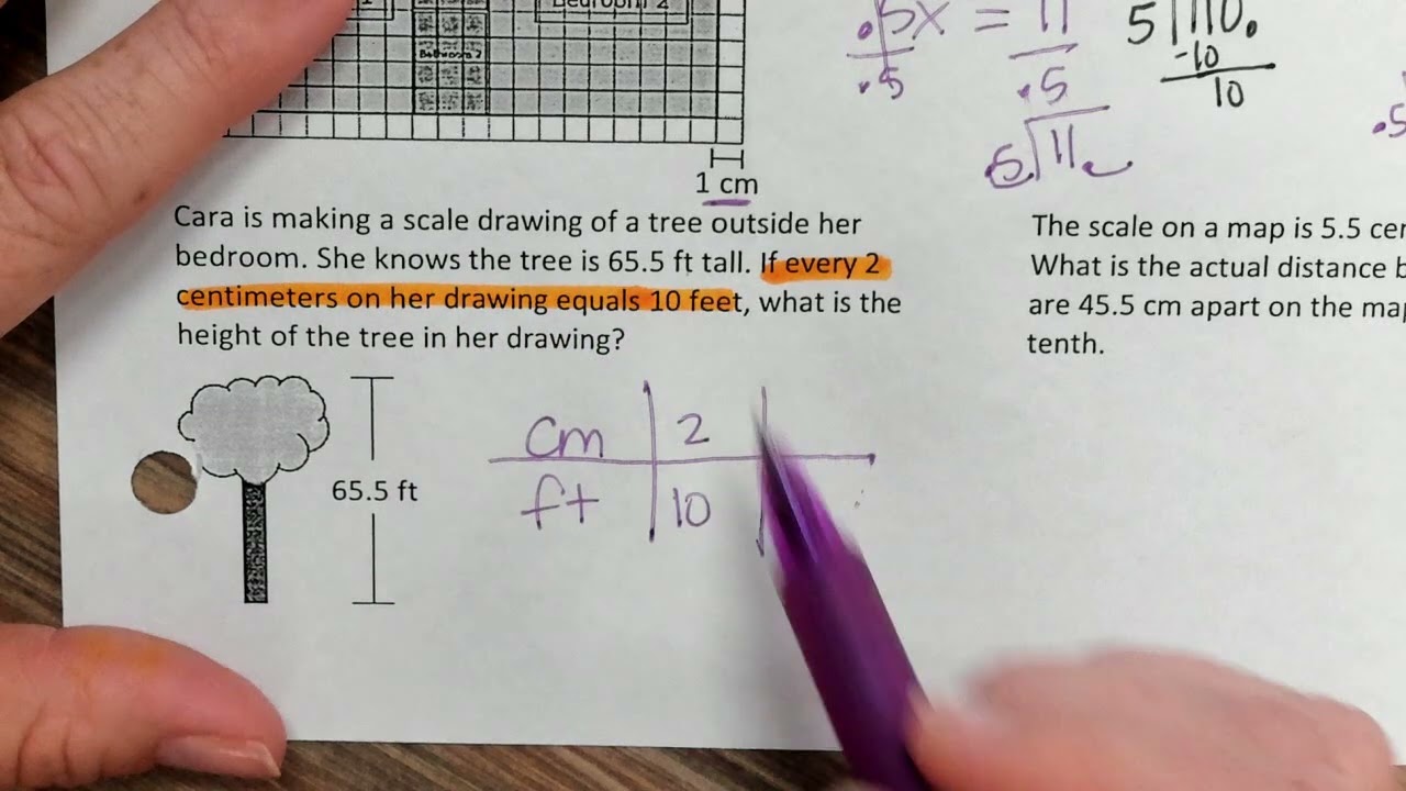 7th Grade Math- Similar Figures Day 3