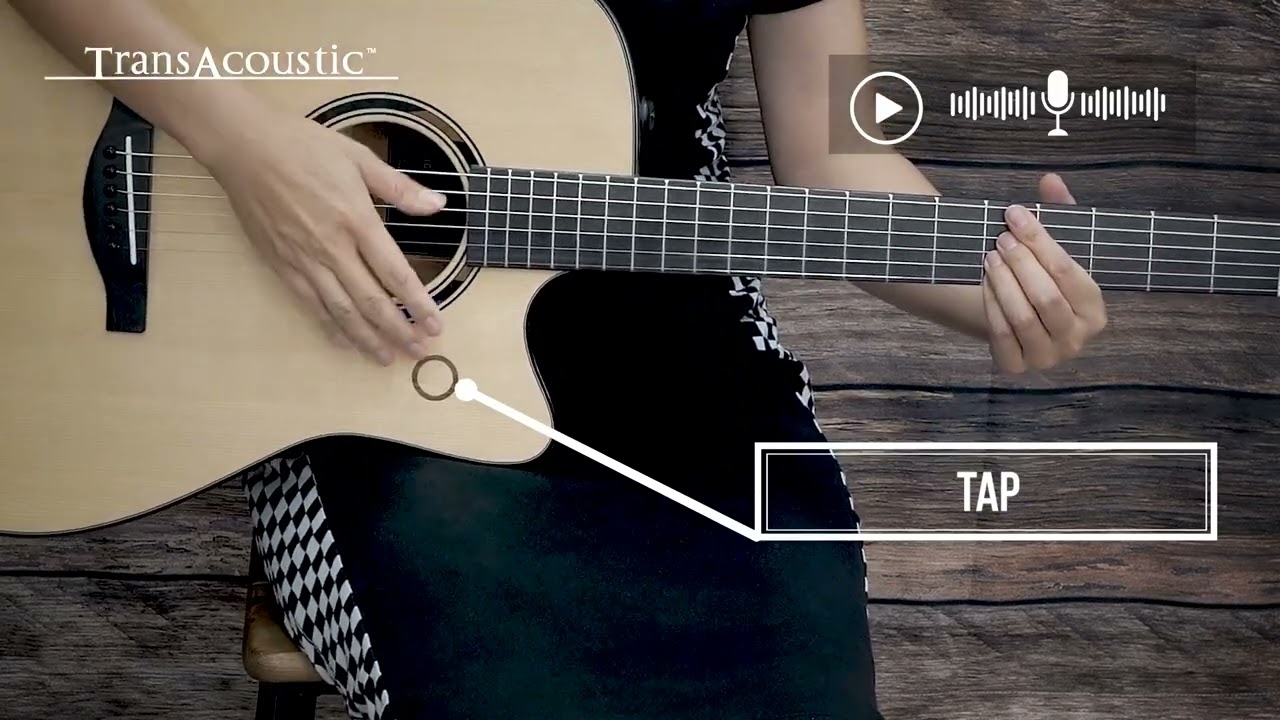 TAG3 C Quick Guide 04: Using the Looper (Basic)