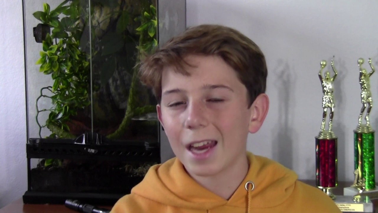 Complete Gecko Guide