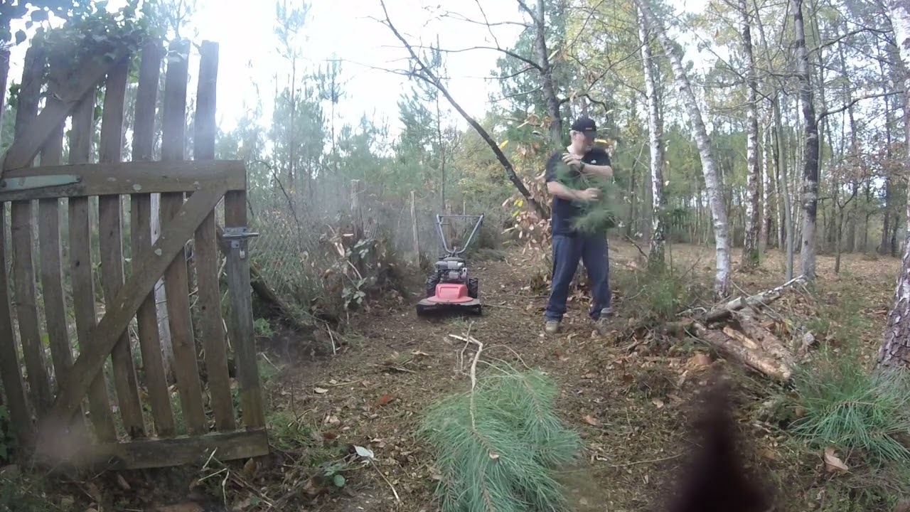 débroussaillage  du sous bois, entretien espaces verts. suite 3