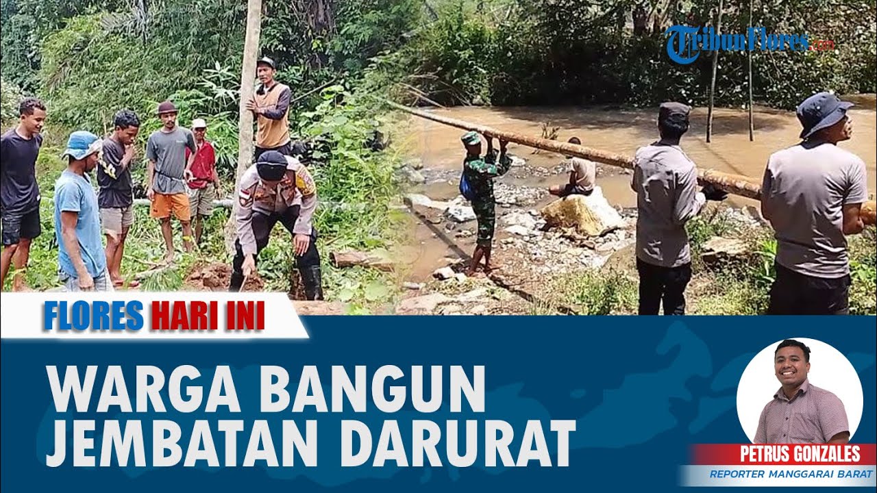 FLORES HARI INI: Demi Pendidikan Anak-anak, Warga Golo Lajang Bangun Jembatan Darurat Pakai Kayu