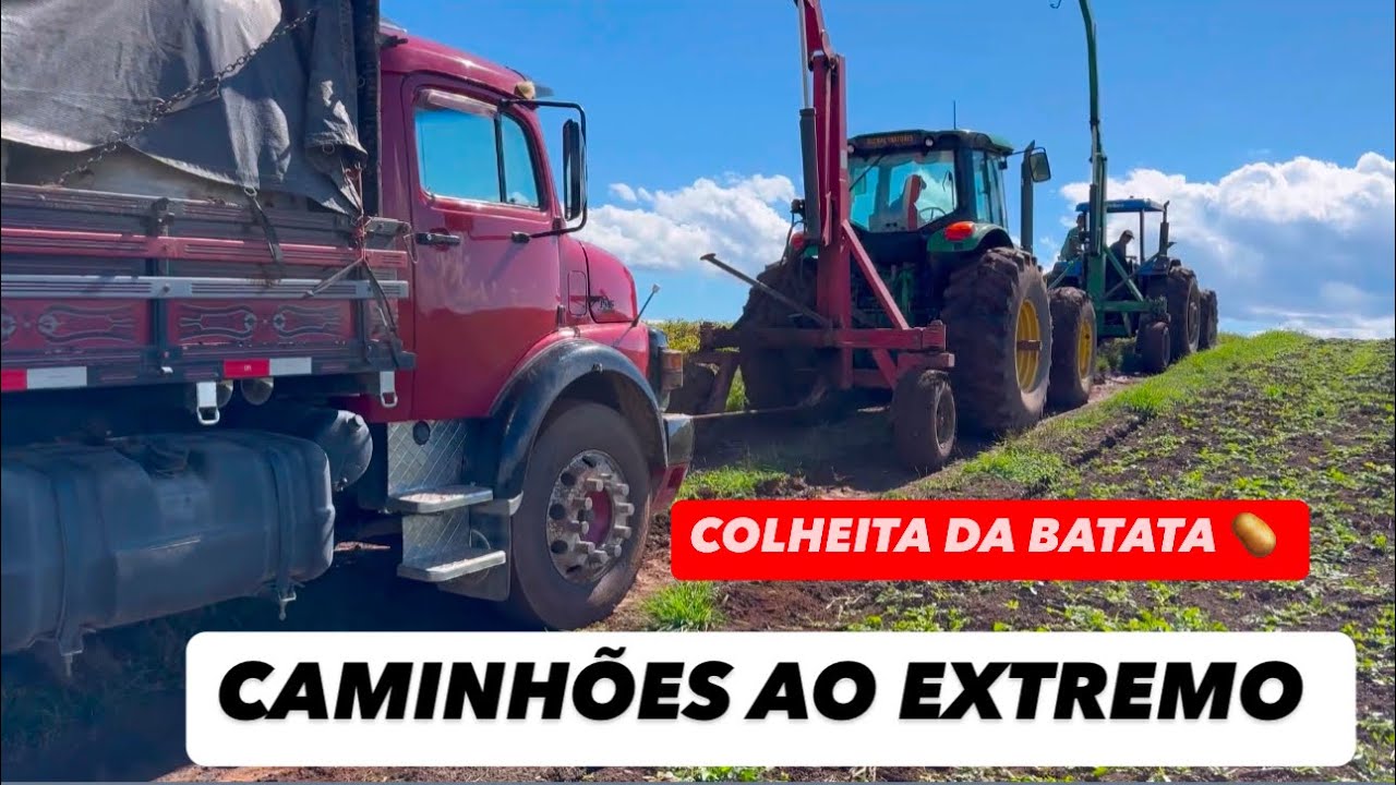 SEGUE A COLHEITA DA BATATA NO PARANA🥔MUITA DIFICULDADE PARA SAIR OS CAMINHÕES