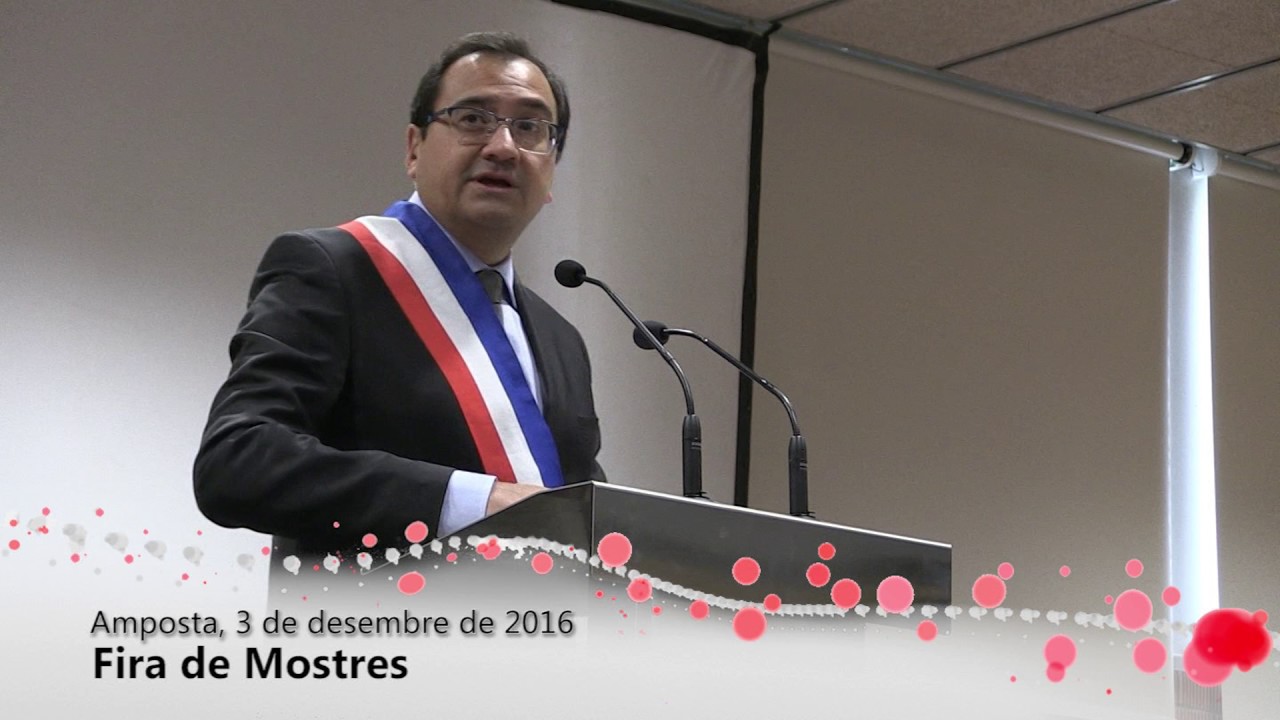 Fem una ullada: Fira de Mostres d'Amposta 2016
