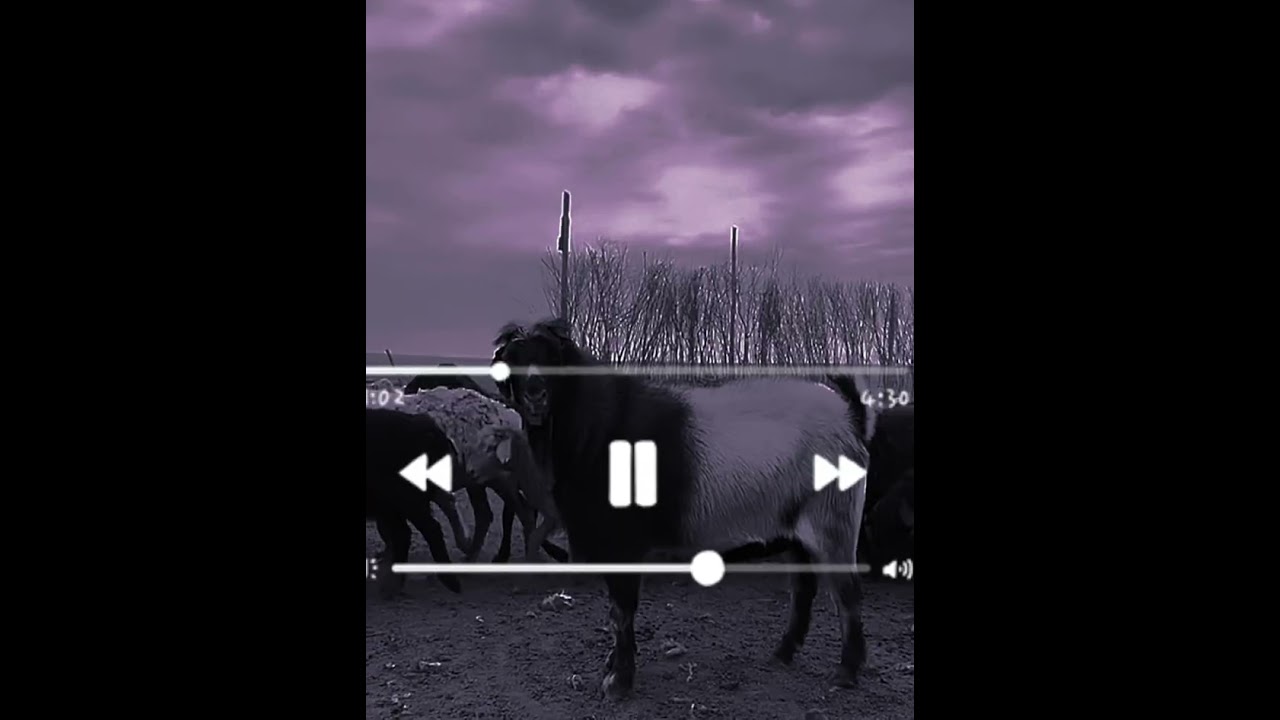 Терме 7 ешкi (ремикс)👋🐐😆