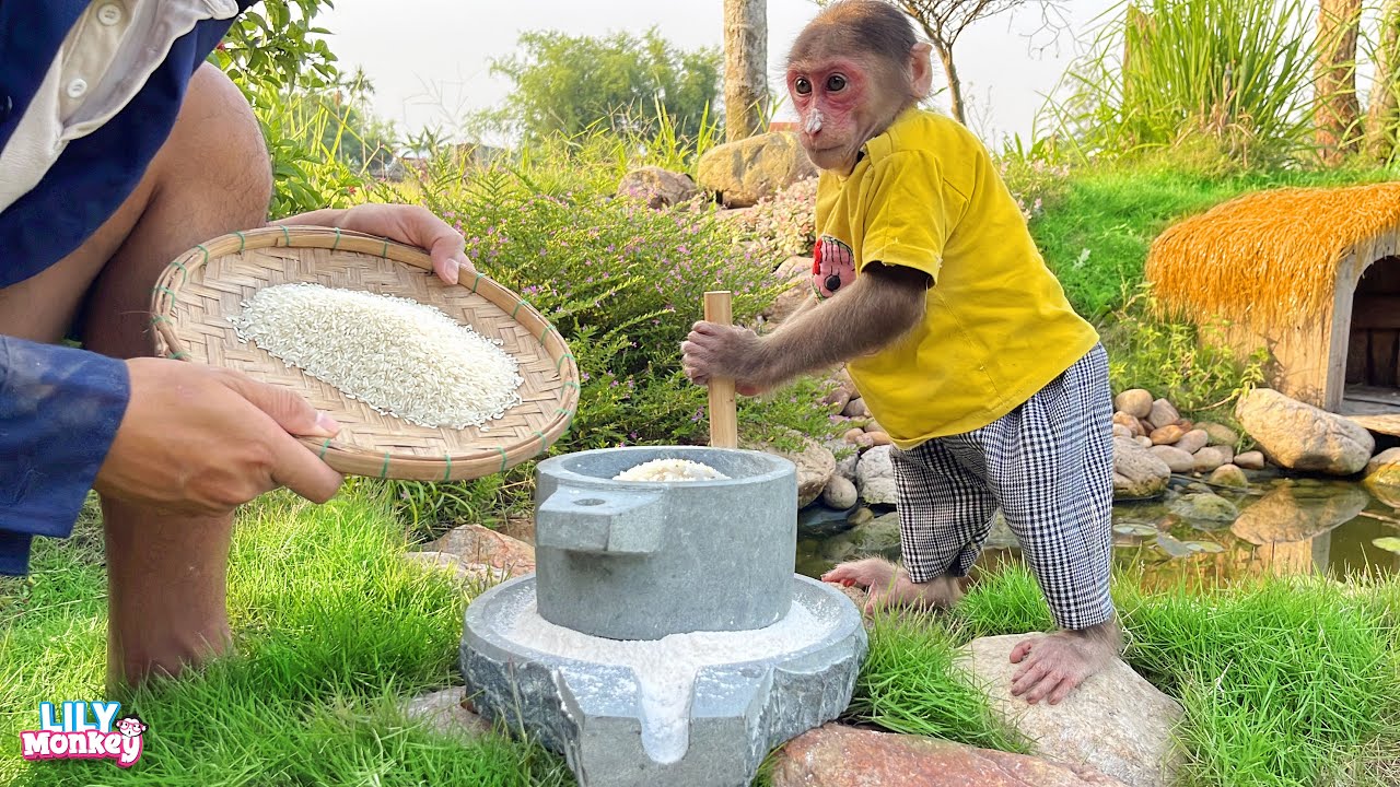Lily helps dad grind flour to make special fried cakes | Lily's story