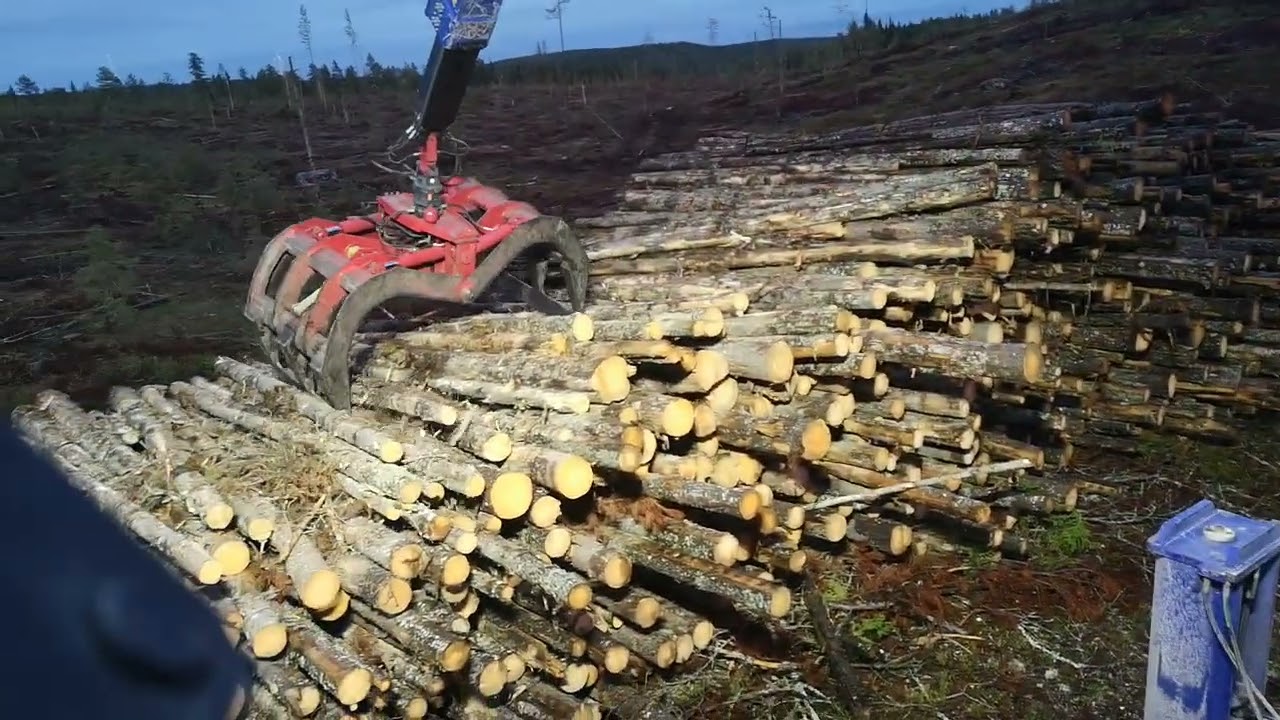 Separatlastare, Timberman Mc31. Lastar Contorta.