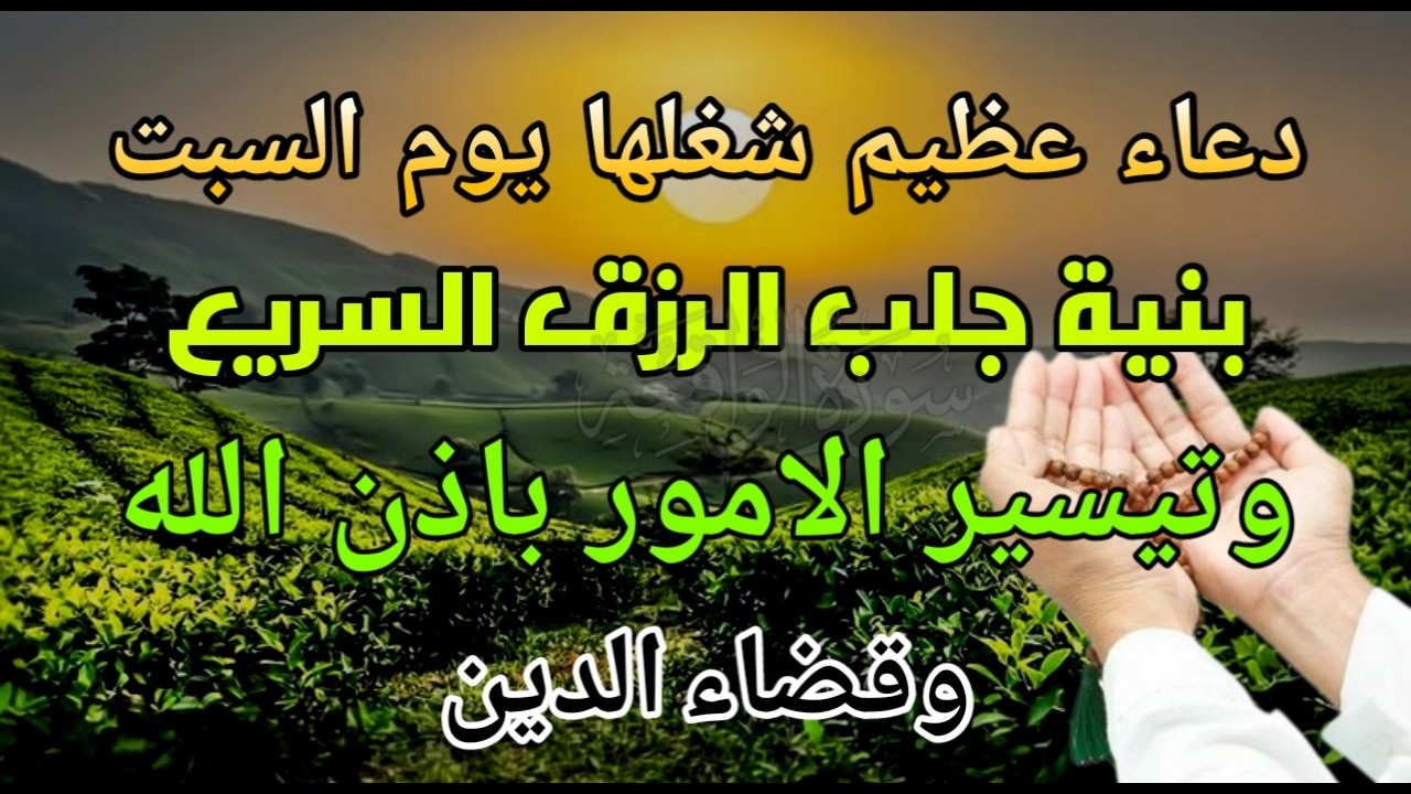 قراءة مؤثرة! دورة واحدة قد تجلب لك الثروة