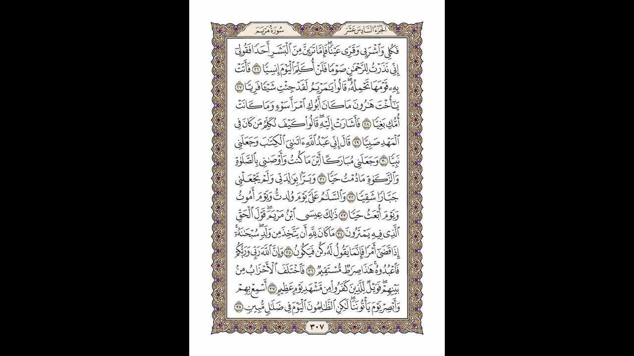 الوجه 307 من القرآن مكرر ١٠ مرات مع الآيات | سورة مريم | الشيخ خليفة الطنيجي